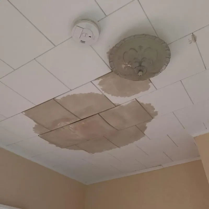 Ceiling Water Damage Repair in Rock Hill, MO